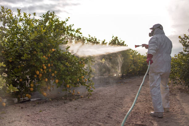 Best Best Pest Control Companies  in Eureka, KS