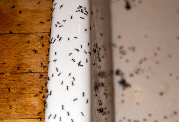 Best Commercial Pest Control Services  in Eureka, KS