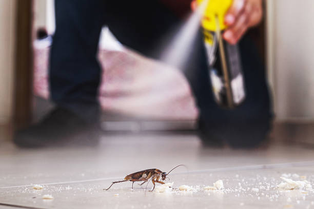 Professional Pest Control in Eureka, KS