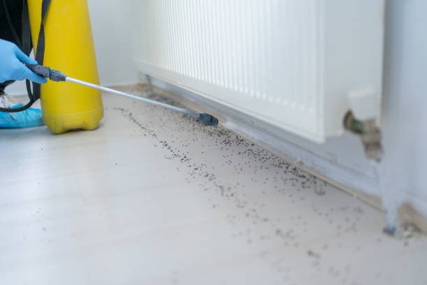 Best Flea Control Services  in Eureka, KS